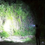 8‑LED Headlamp